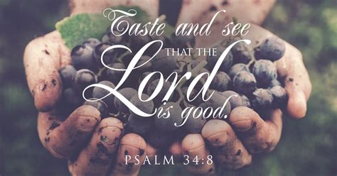 Taste And See That The Lord Is Good Psalm The Lord Is Good