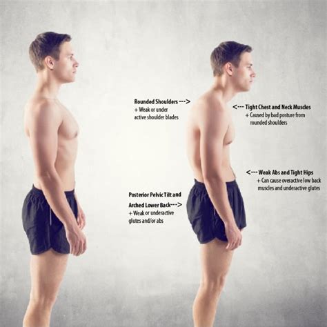 The Power Triangle - XbodyConcepts