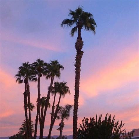 sunrise over the desert... #nature #desert #palmsprings #palmdesert # ...