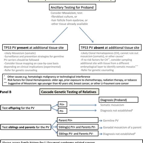 Classic Somatic Mosaicism The Timing Of Post Zygotic Mutation