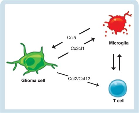 Figure From Comment On Genetic And Genomic Alterations