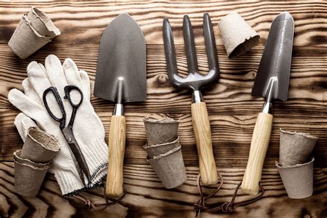 10 Cheap Gardening Tools Every Gardener Needs in Their Shed