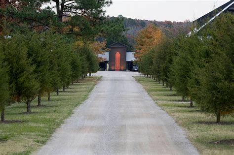 Lone Oaks - Page | Duke Landscape Architects