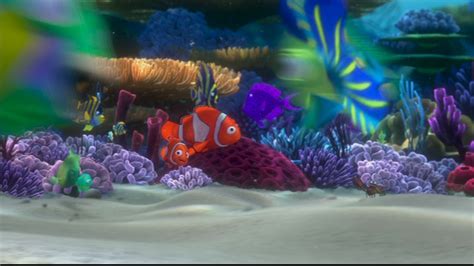 Finding Nemo - Disney Photo (33586674) - Fanpop