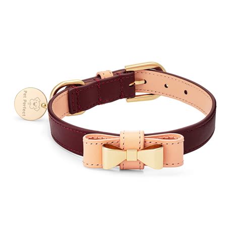 35 Best Designer Dog Collars from High-End brands