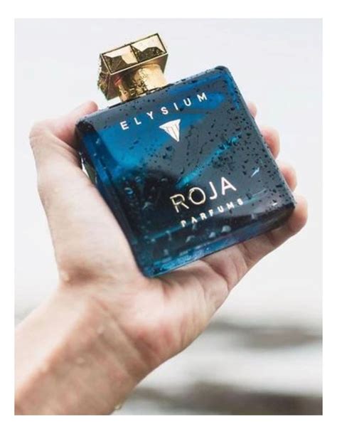 Roja Elysium Pour Homme Cologne 100ml | MYER