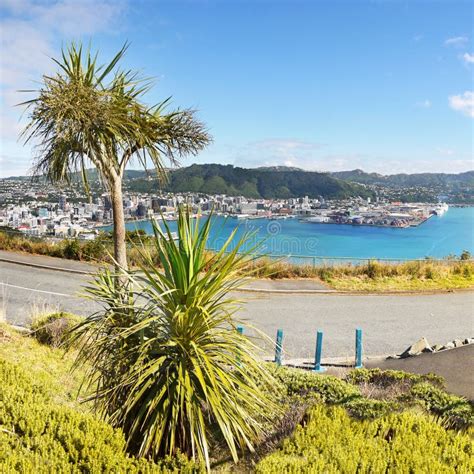 Wellington Mount Victoria Lookout New Zealand Stock Image Image Of