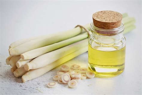 5 Amazing Benefits Of Lemongrass Oil For Hair