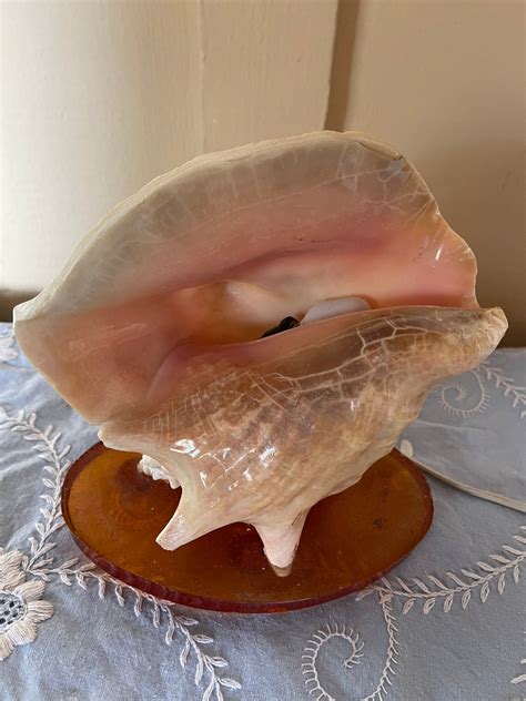 Vintage Conch Shell Lamp Vintage Seashell Light Beach House Etsy