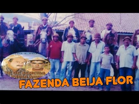 Toada Vaca Encantado Da Fazenda Beija Flor Cantada Por Z De Almeida E