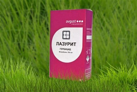 Средства от сорняков на даче: лучшие препараты