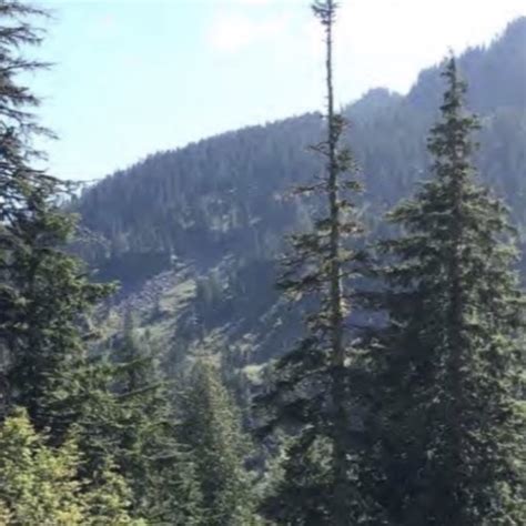 Forterra Transfers Acres Of Mt Si Resource Conservation Area To Dnr