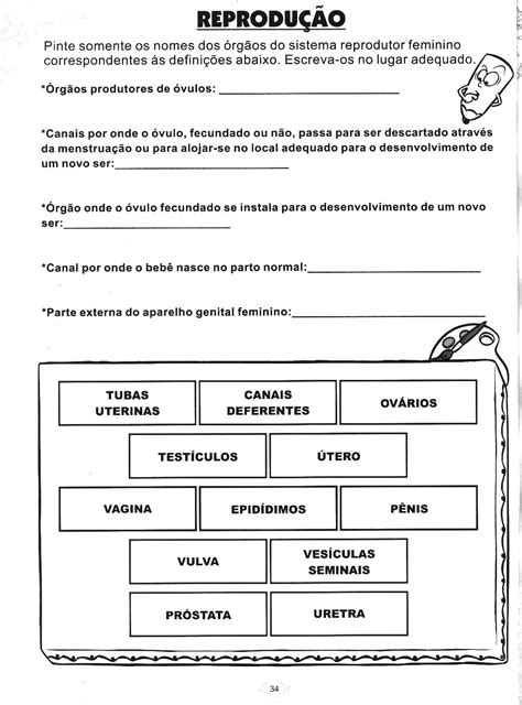 Exercicios Sobre Reprodução Humana 8 Ano Com Gabarito Doc