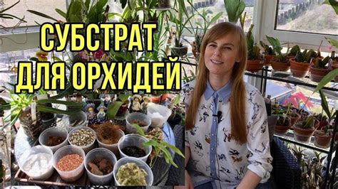 Субстрат для орхидей! Готовим грунт для орхидей своими руками - YouTube