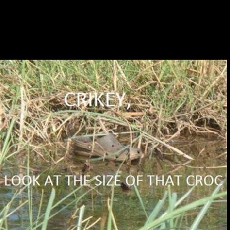 Crocodile Hunter Quotes. QuotesGram