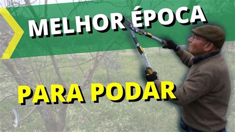 Saiba Qual A Melhor Poca Para Podar Rvores De Fruto Youtube