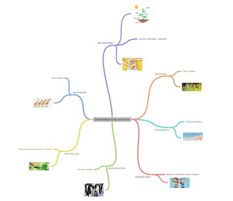 Características De Los Seres Vivos Coggle Diagram