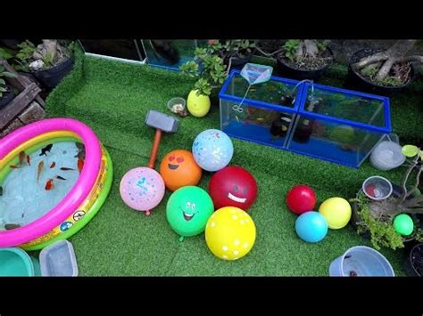 Hore Meletus Balon Dpt Hadiah Jajanan Hunting Snail Milipede