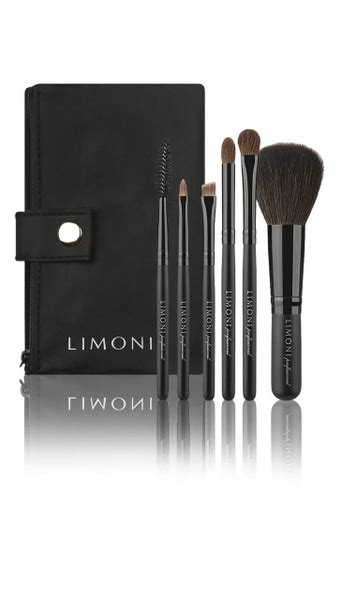 Набор кистей Limoni Professional compact Kit - купить с доставкой по ...