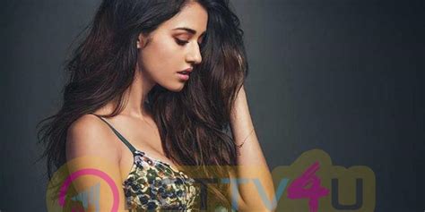 Actress Disha Patani Latest Hot And Sexy Pics 573719 Galleries HD Images