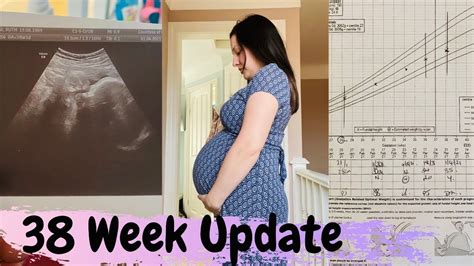 38 WEEK PREGNANCY UPDATE 38 Week Growth Scan YouTube