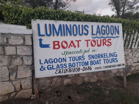 Glistening Waters Luminous Lagoon Tour Falmouth All You Need To