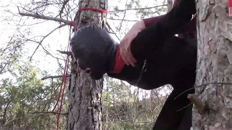 Tree Porn Videos Xhamster