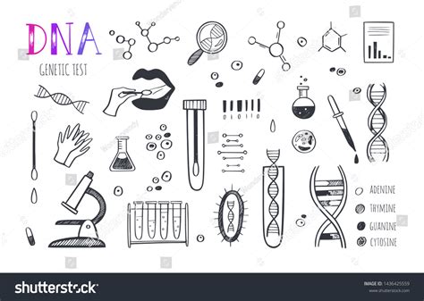 Genetic Engineering Medical Research Vector Infographic Stock Vector