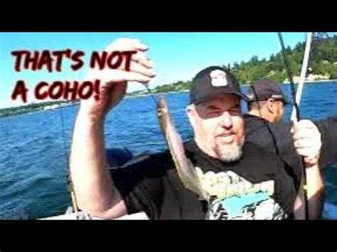 Salmon Fishing Puget Sound Area 10 Resident Coho YouTube