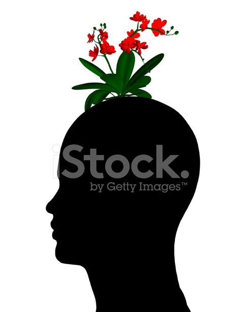 What's In Your Head - Psychology And Houghts Abstract Concept Stock ...