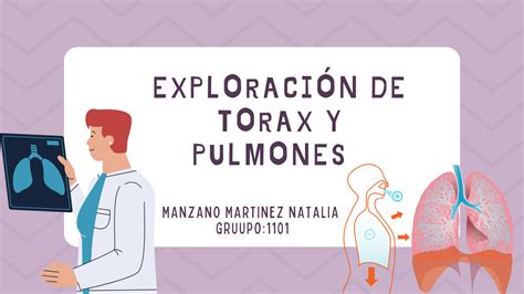 Solution Pulmones Y Torax Studypool