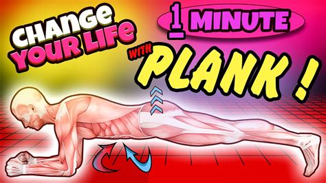 Plank Exercise For Belly Fat What Will Happen If You Plank Every Day