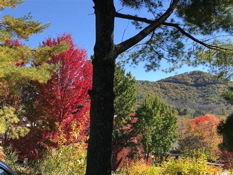 When I was 69 (now 80): Fall foliage North Carolina!