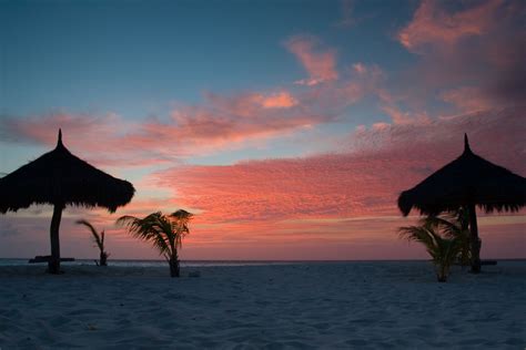 Aruba, Manchebo beach, Eagle beach | Eagle beach aruba, Anniversary ...