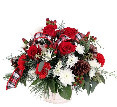 Canada Flowers | Mistletoe And Holly #CH114AA