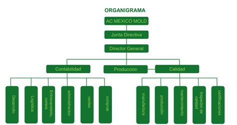 Organigrama Ac Mold