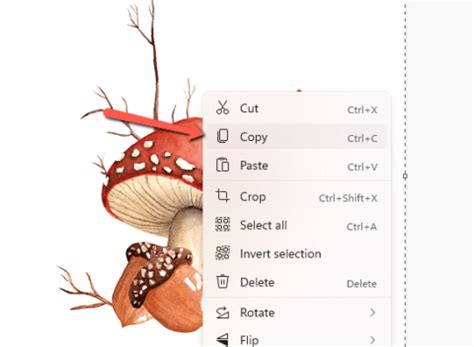 How to Change DPI in Microsoft Paint (3 Quick Steps)
