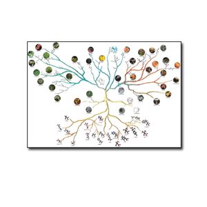 Tree of life chart -Cladistics - Think Education Supplies