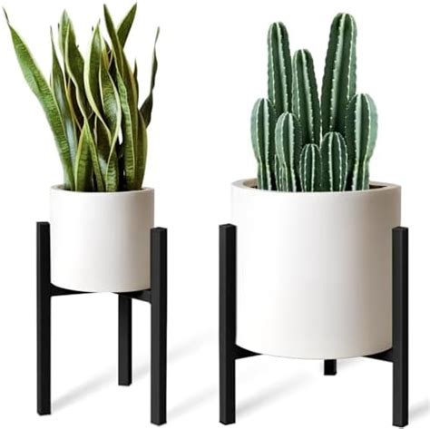 Rainbleland Indoor Plant Stand Adjustable Tall Plant Stand Indoor