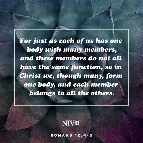 Niv Verse Of The Day Romans 124 5