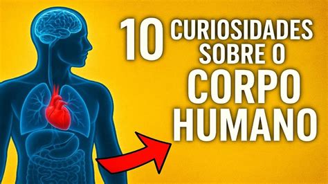 7 Curiosidades Sobre O Corpo Humano - 10 Curiosidades Incríveis Sobre o Corpo Humano | A #7 Vai Te ...