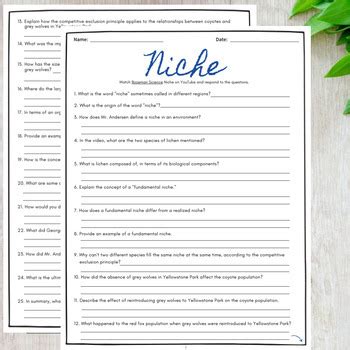 Ecological Niche Comprehensive Worksheet | Bozeman Science | TPT