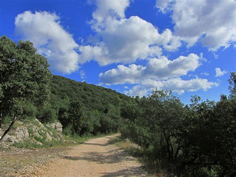 Jakobus Weg Wald B Ume Wolken Bernd Brang Flickr