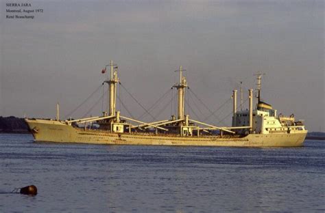 Sierra Jara Buque Maderero De Mar Tima Del Norte