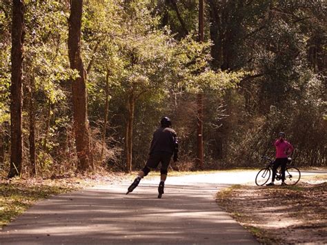 Top 10 Scenic Bike Trails in Florida (2023 Guide) – Trips To Discover