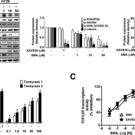 Sma Facilitated Gsk3β Activity By Inhibiting Pi3kakt And Tankyrase In