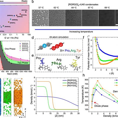 Determination of frequency-dependent viscoelastic moduli of peptide-RNA ... 