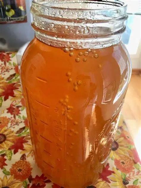 Honey Mead Recipe An Easy One Gallon Recipe Fermenters Kitchen