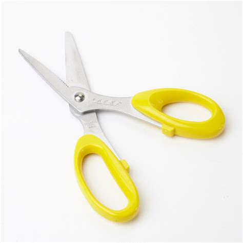 Oasis Secateurs
