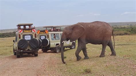 Kenya Tsavo Amboseli Safari With Mombasa Beach